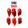 King Naga chili paprika növény nevelő szett