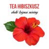 Tea hibiszkusz növény nevelő szett