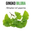 Ginkgo Biloba növény nevelő szett