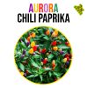 Aurora chili paprika növény nevelő szett