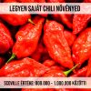 Szellem chili - Bhut Jolokia Red paprika növény nevelő szett
